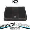 Loa Monitor MORGAN SOUND MON12