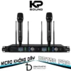 Micro Không Dây DBacoustic DB750 PRO