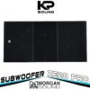 Loa Sub Đôi 18 inch MORGAN SOUND ZE28 PRO