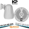 Loa Treo Tường BOSA BS1506