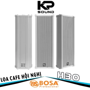 Loa Treo Tường BOSA H30