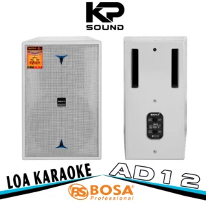 Loa Karaoke Bosa AD12