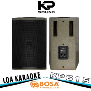 Loa Karaoke Bosa KP615