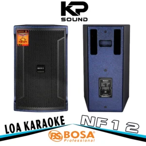 Loa Karaoke Bosa NF12