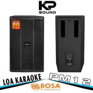 Loa Karaoke Bosa PM12