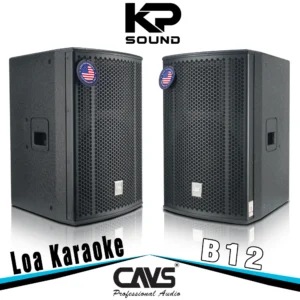 Loa Karaoke CAVS B12