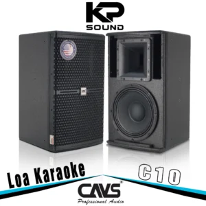 Loa Karaoke CAVS C10