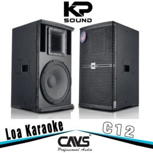 Loa Karaoke CAVS C12
