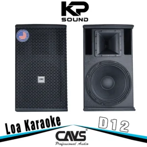 Loa Karaoke CAVS D12