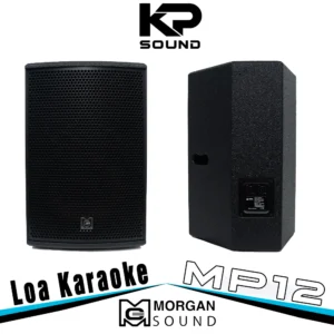 Loa Karaoke Morgan Sound MP12