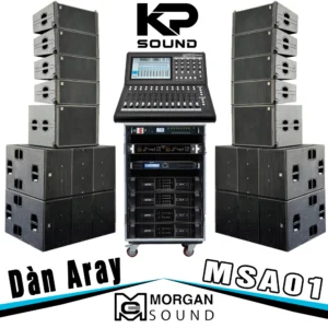 Dàn Âm Thanh Aray Sân Khấu Morgan Sound MSA01
