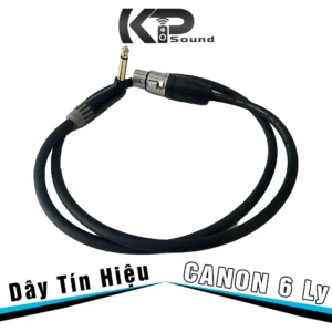 Dây Tín Hiệu Canon (XLR) Cái - 6 Ly Seetronic